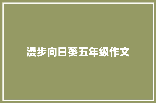 漫步向日葵五年级作文