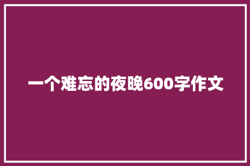 一个难忘的夜晚600字作文