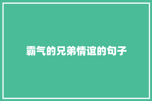 霸气的兄弟情谊的句子