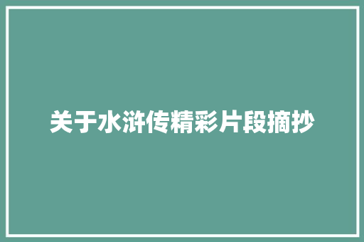 关于水浒传精彩片段摘抄 会议纪要范文