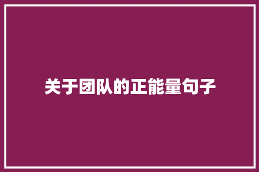 关于团队的正能量句子 综述范文