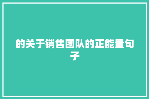 的关于销售团队的正能量句子 论文范文