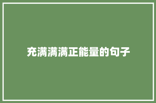 充满满满正能量的句子