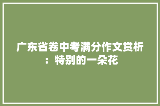 广东省卷中考满分作文赏析：特别的一朵花 工作总结范文