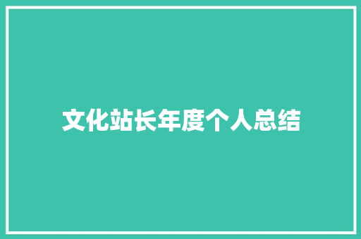 文化站长年度个人总结