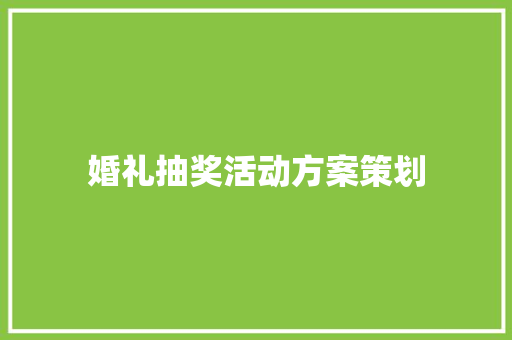 婚礼抽奖活动方案策划