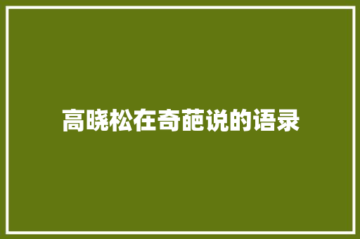 高晓松在奇葩说的语录