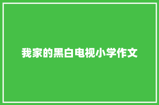 我家的黑白电视小学作文