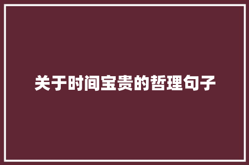 关于时间宝贵的哲理句子