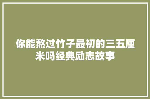 你能熬过竹子最初的三五厘米吗经典励志故事