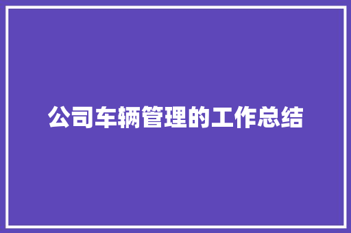 公司车辆管理的工作总结