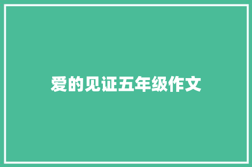 爱的见证五年级作文