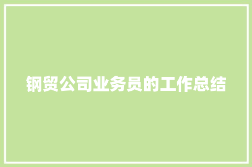 钢贸公司业务员的工作总结