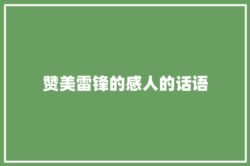 赞美雷锋的感人的话语 工作总结范文