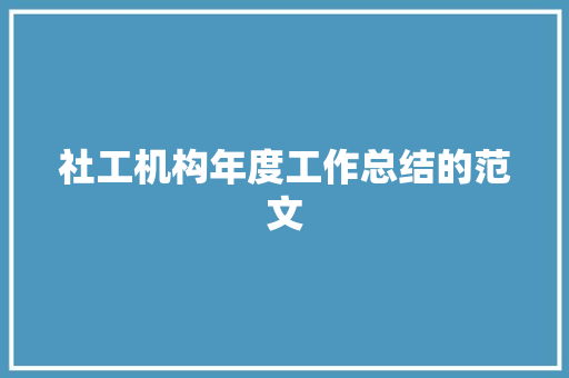 社工机构年度工作总结的范文