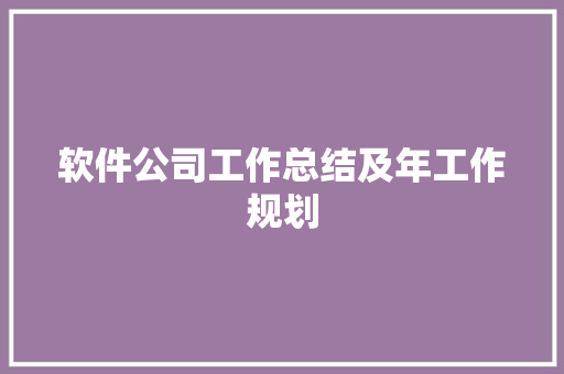 软件公司工作总结及年工作规划