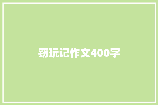 窃玩记作文400字