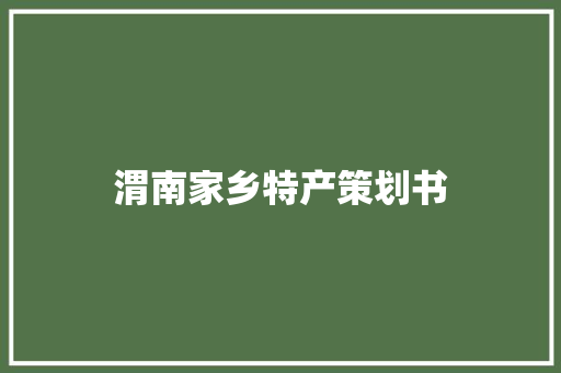 渭南家乡特产策划书 工作总结范文