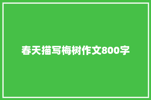 春天描写梅树作文800字