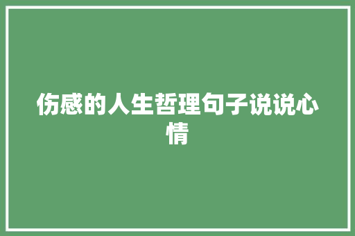 伤感的人生哲理句子说说心情 论文范文