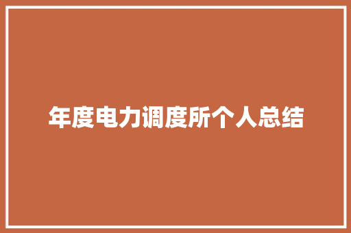 年度电力调度所个人总结