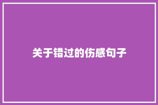 关于错过的伤感句子 学术范文