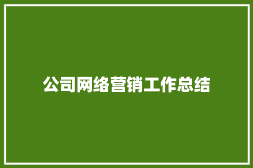 公司网络营销工作总结