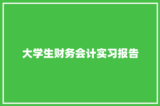 大学生财务会计实习报告