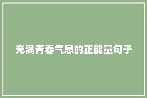 充满青春气息的正能量句子