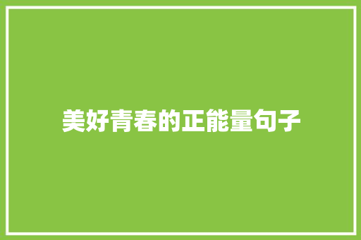 美好青春的正能量句子 致辞范文