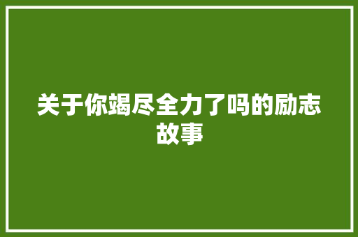 关于你竭尽全力了吗的励志故事