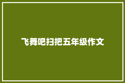 飞舞吧扫把五年级作文