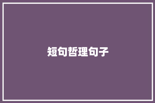 短句哲理句子 学术范文