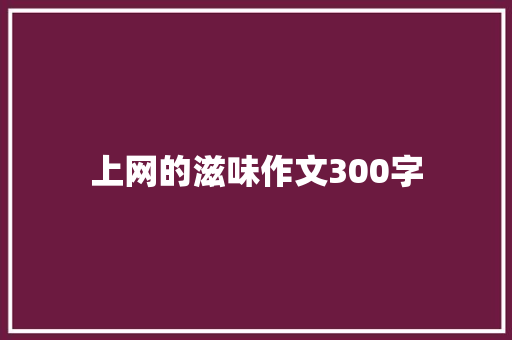 上网的滋味作文300字