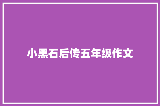 小黑石后传五年级作文