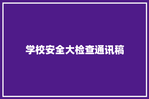 学校安全大检查通讯稿