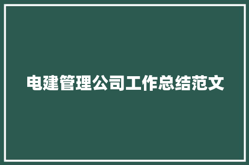 电建管理公司工作总结范文