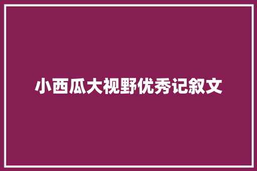 小西瓜大视野优秀记叙文 工作总结范文