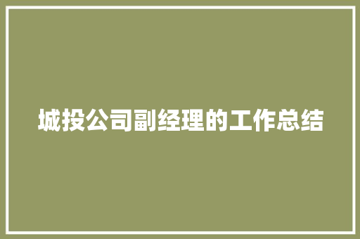 城投公司副经理的工作总结