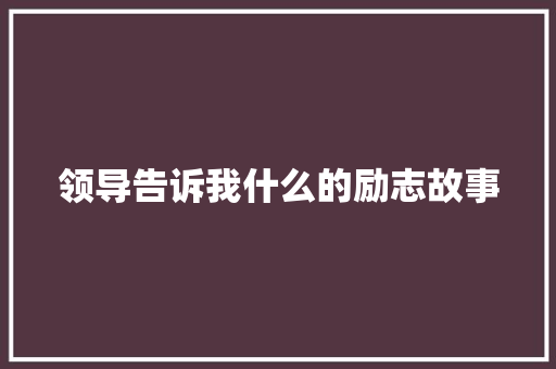 领导告诉我什么的励志故事 学术范文