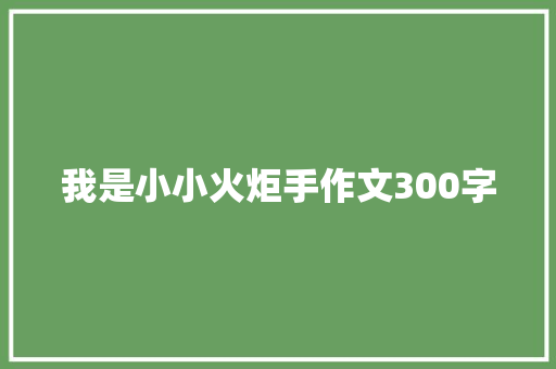 我是小小火炬手作文300字