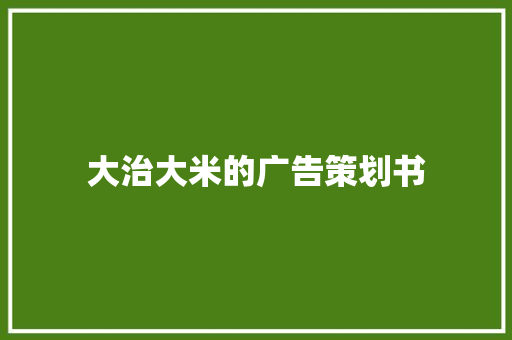 大治大米的广告策划书