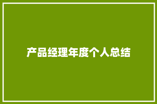 产品经理年度个人总结