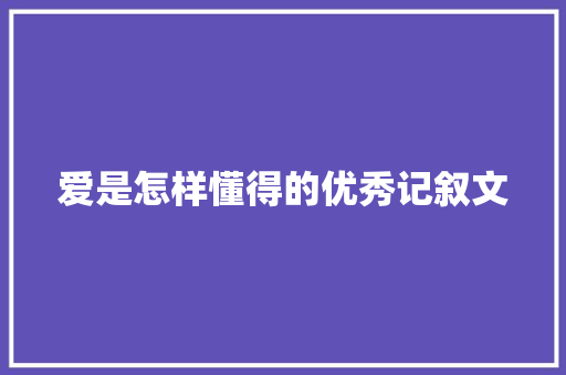 爱是怎样懂得的优秀记叙文 工作总结范文