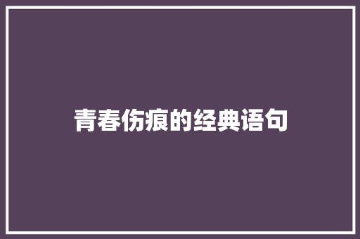 青春伤痕的经典语句 会议纪要范文