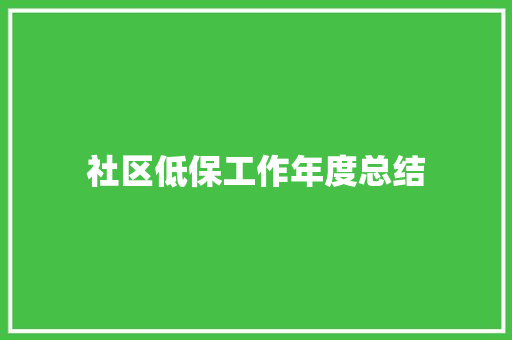 社区低保工作年度总结