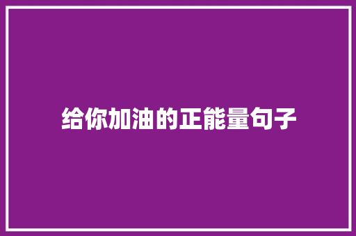 给你加油的正能量句子 综述范文