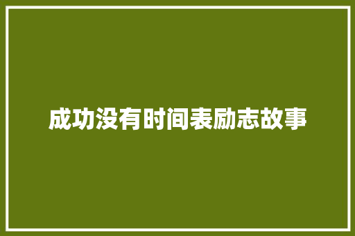 成功没有时间表励志故事