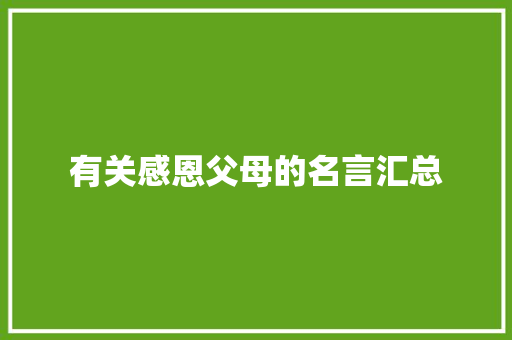 有关感恩父母的名言汇总 商务邮件范文