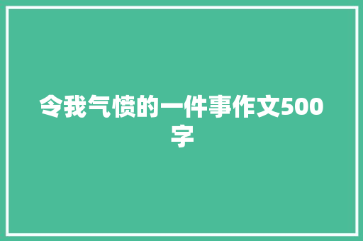 令我气愤的一件事作文500字